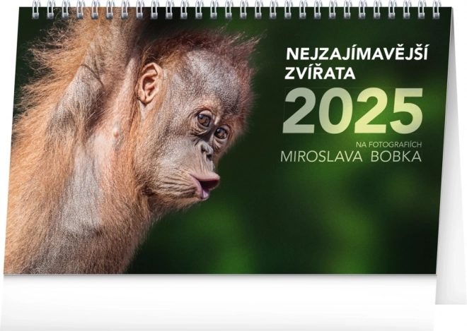 Calendar de birou cu cele mai interesante animale 2025