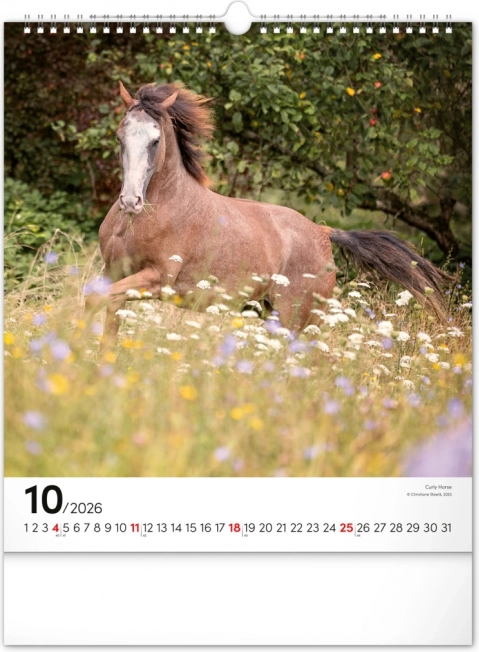 Calendar de perete Cai 2026