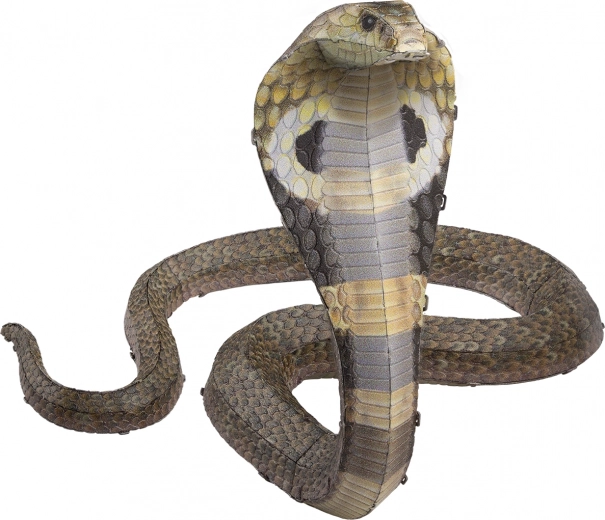 Aspect realist cu gravare laser