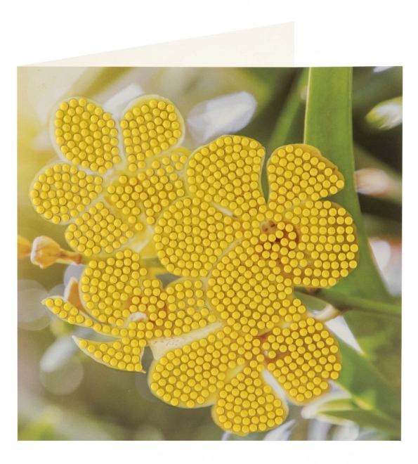 Pictura cu pietricele Diamond dorință 2 buc 13x13 cm