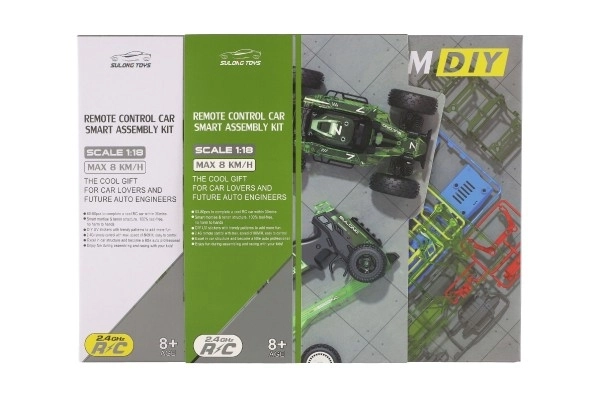 Mașină RC Buggy din plastic, 22cm asamblabilă