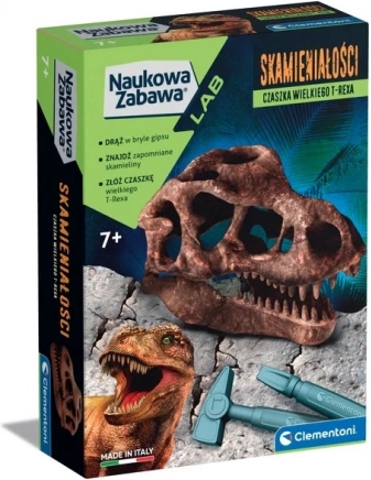 Set științific fosilă craniu de T-Rex