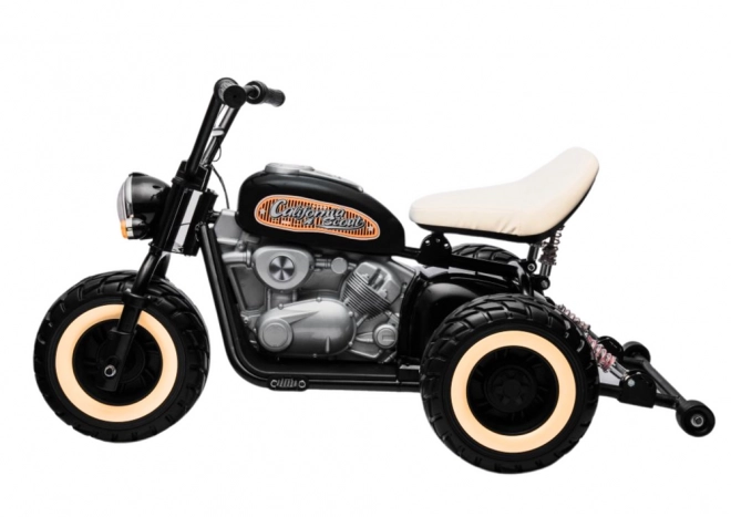 Motor electric trike 24V negru