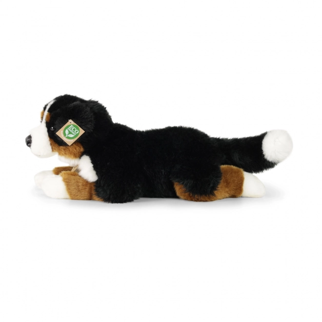 Pudel Bernese din pluș eco-friendly 44 cm