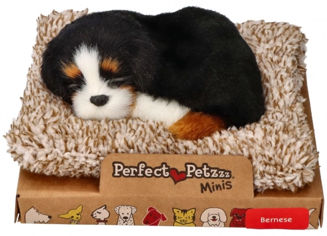 Perfect petzzz cățeluș mini bernese pe pat