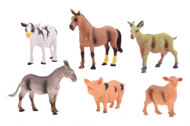 Animale domestice în cutie