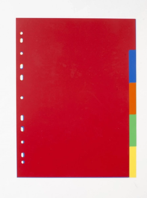 Organizator A4 cu 5 file colorate