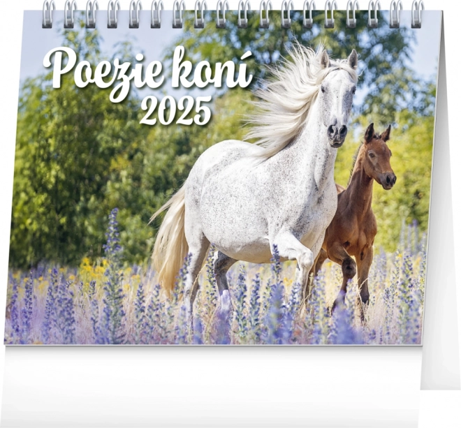 Calendar de birou Poezie conurilor 2025