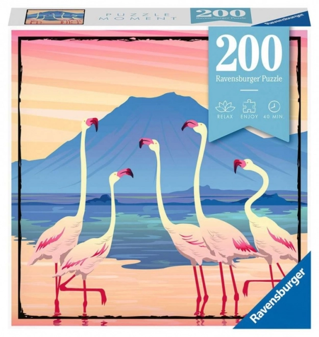 Puzzle 200 piese - Moment 4 Ravensburger