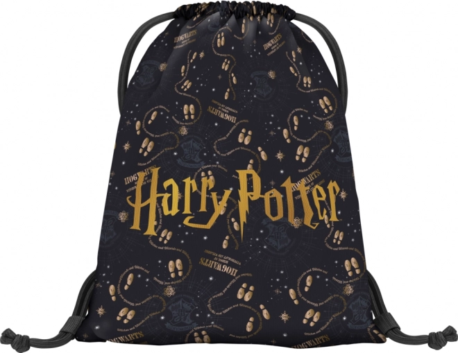 Set 3 componente ERGO Harry Potter Harta Maurauder