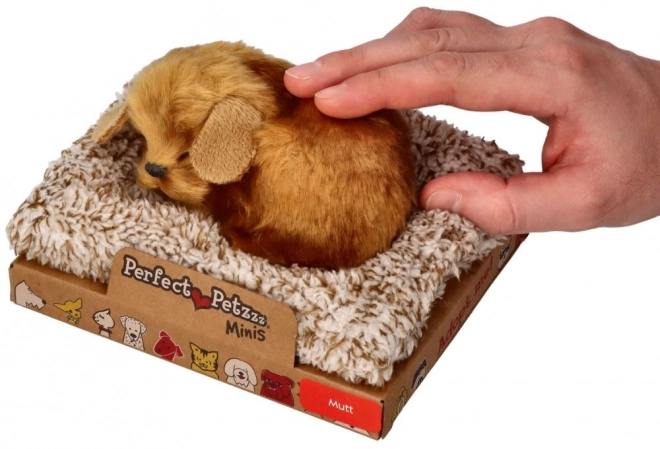 Căţeluş Perfect Petzzz