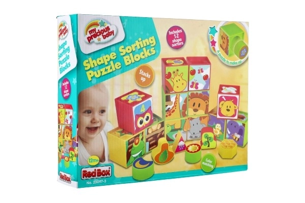 Cubes puzzle plastic 12 pcs în cutie 30x23x7cm 12m+