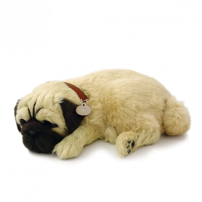 Cățeluș Perfect Petzzz Mops Respirabil
