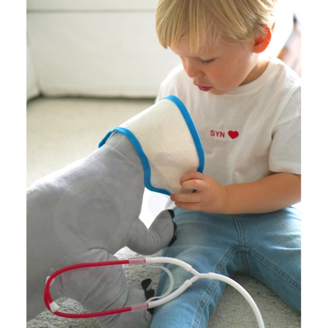 Set veterinar pentru copii Tooky Toy