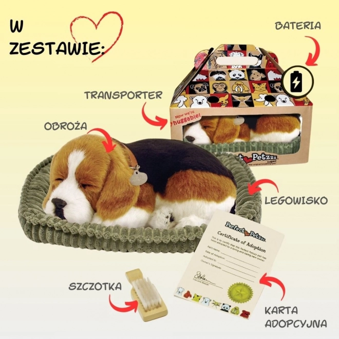 Cățeluș Relaxant Beagle