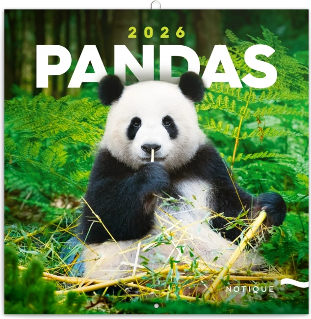 Calendar de notițe Panda 2026