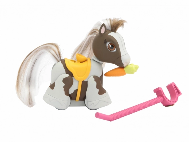 Poneii Pet Parade