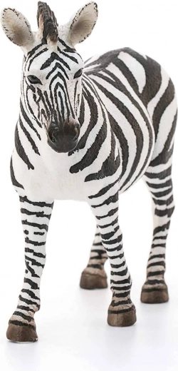 Ideală pentru colecții și educație