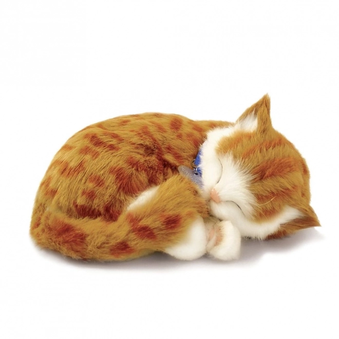 Adoptă-mă Pisoi respirant tigrat roșcat