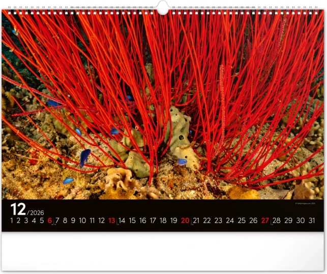 Calendar de perete Lumea subacvatică 2026