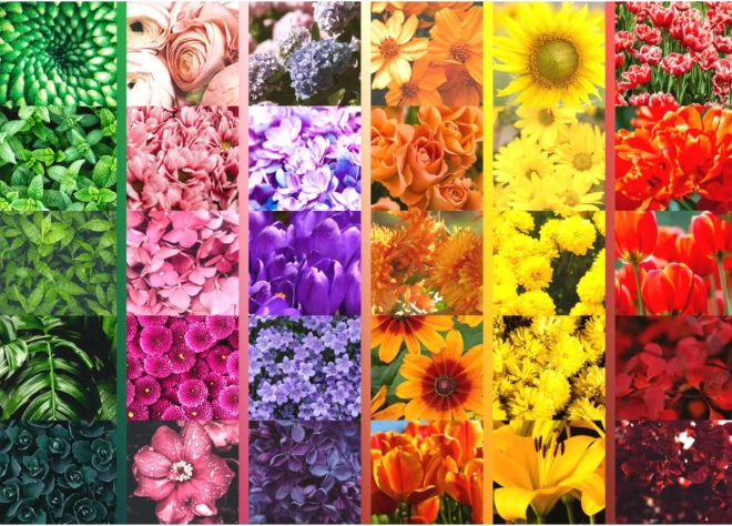 Paletă florală vibrantă în grilaj