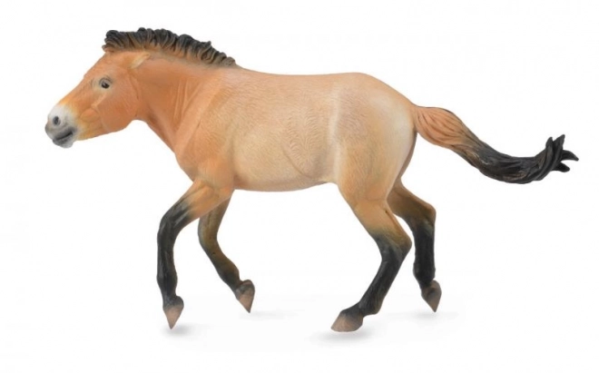 Cal plastic Przewalski CollectA
