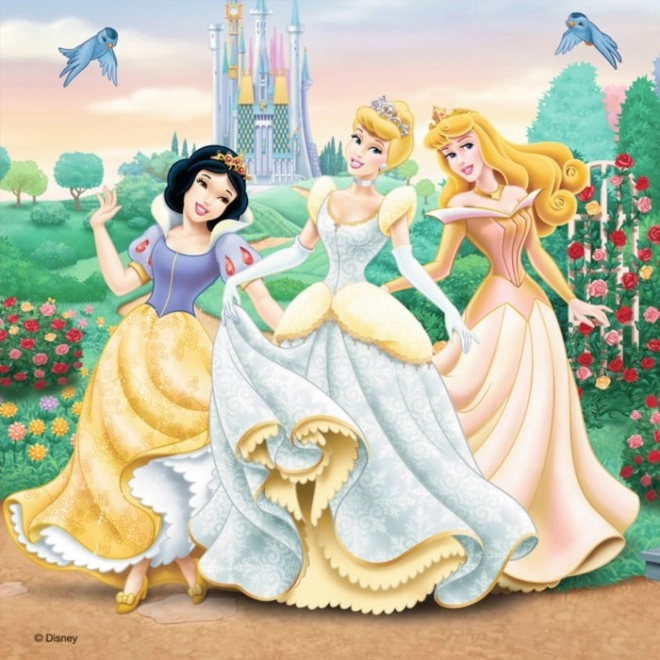 Puzzle Prințese Disney Sny 3x49 piese Ravensburger