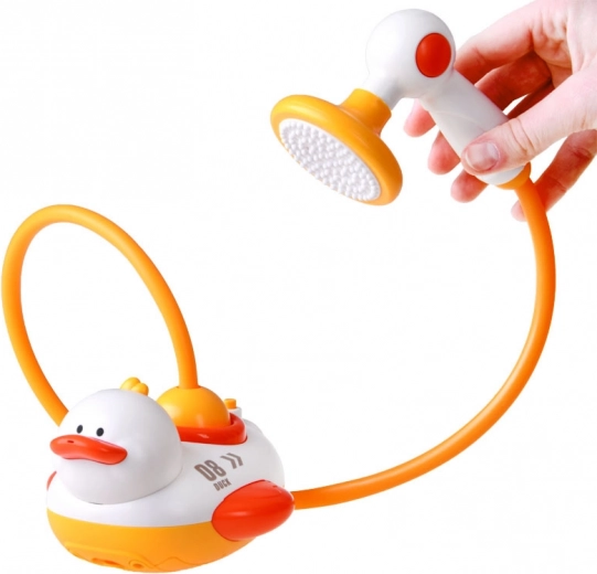 Duș de mână cu capete interschimbabile