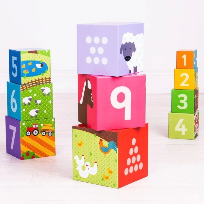 Cuburi educative ferma Bigjigs Toys