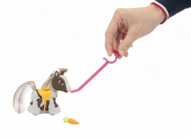 Poneii Pet Parade
