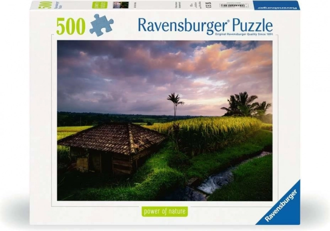 Puzzle Ravensburger câmpuri de orez Bali 500 piese