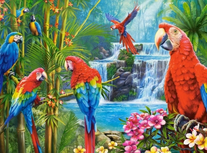 Puzzle cu 2000 de piese Parrot Meeting