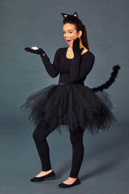 Costum pisică