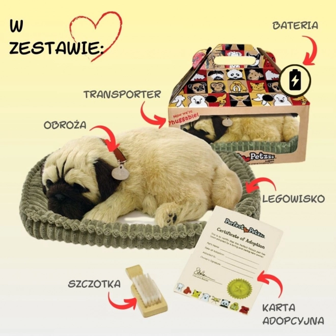 Cățeluș Perfect Petzzz Mops Respirabil