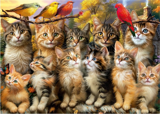 Puzzle Pisici și Păsări 500 Piese