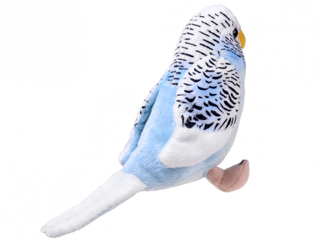 Mascota papagal albastru