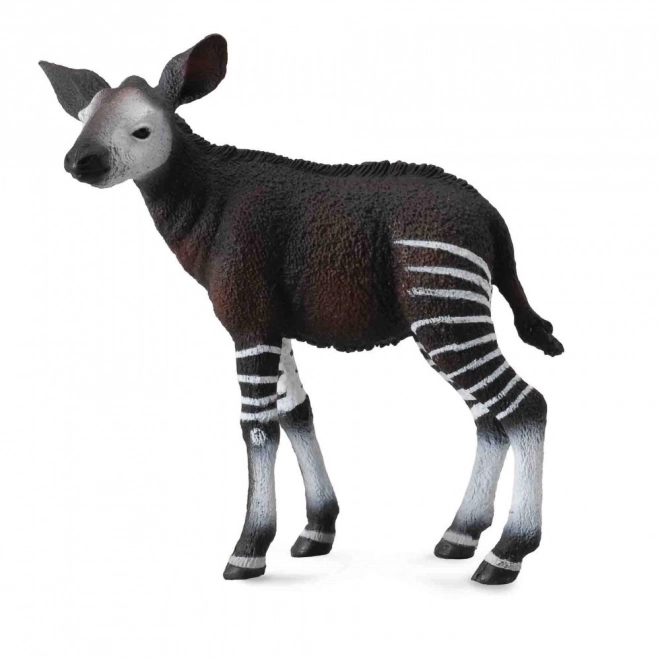 Collecta tânără Okapi