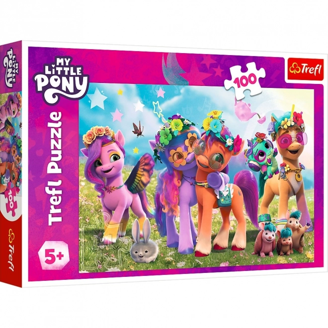 Puzzle amuzante My Little Pony 100 de piese