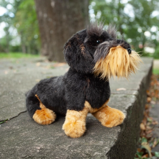 Câine de pluș dachshund cu părul sârmos eco-friendly 30 cm