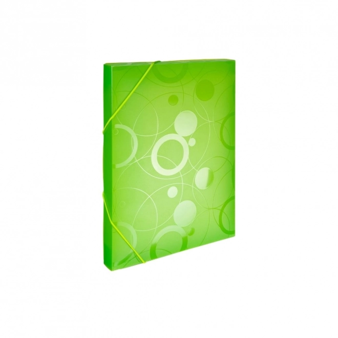 Cutie de arhivare A4 cu elastic Neo Colori verde