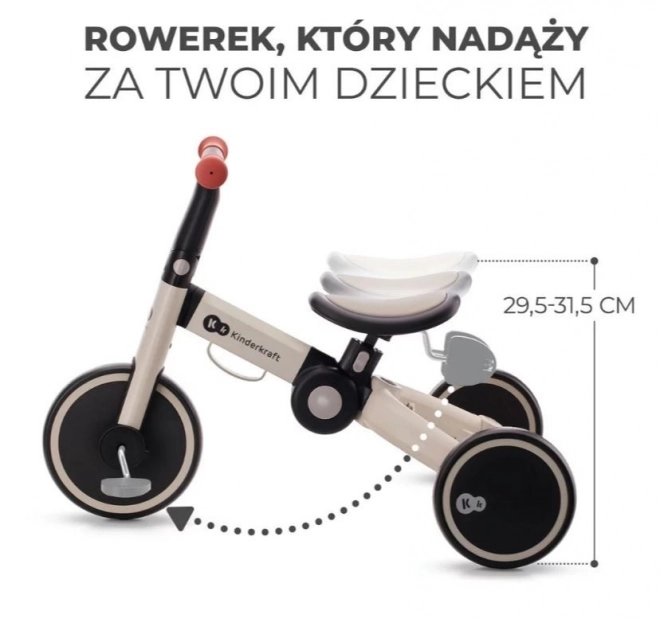 Tricicletă pentru copii 4Trike argintiu