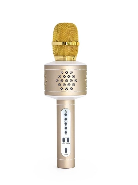 Microfon karaoke Bluetooth argintiu – Auriu