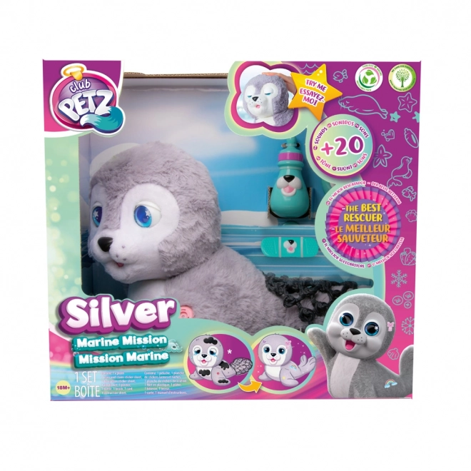 Foca interactivă Silver