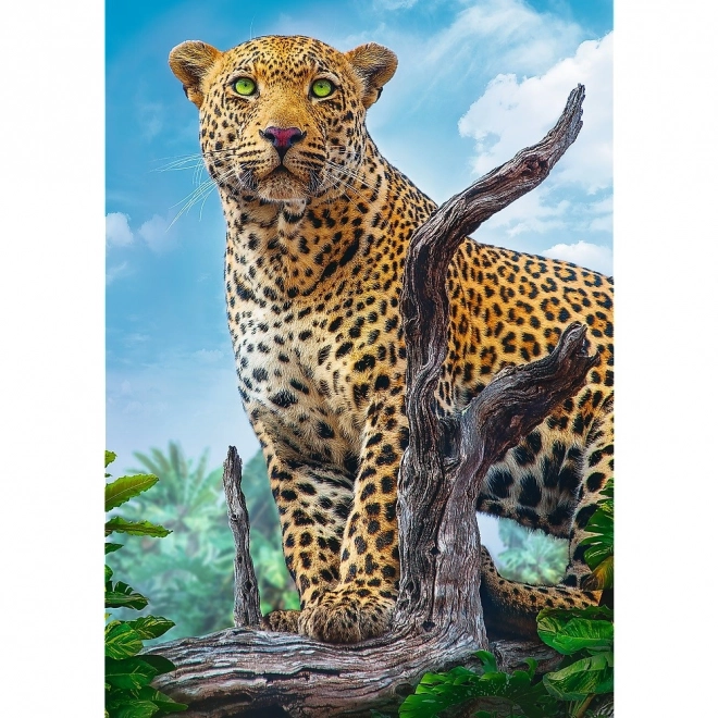 Puzzle Leopard Sălbatic 500 piese