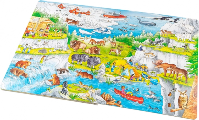 Cunoaștere prin ilustrații