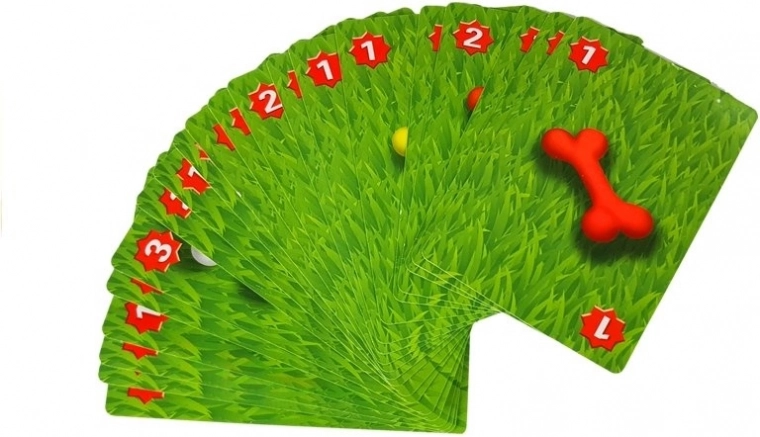 Cărți de joc pentru diverse variante