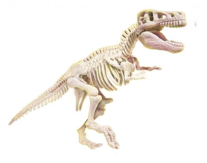 Set arheologic Clementoni Science&Play: Tyrannosaurus Rex