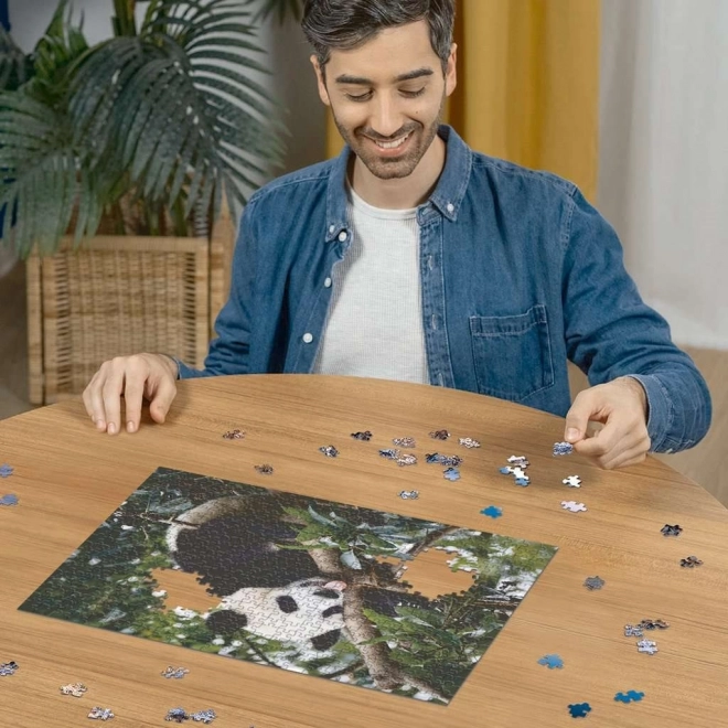 Puzzle Panda 500 piese