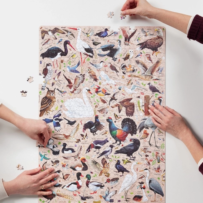 Puzzlove CzuCzu Păsări Polonia 1000 piese