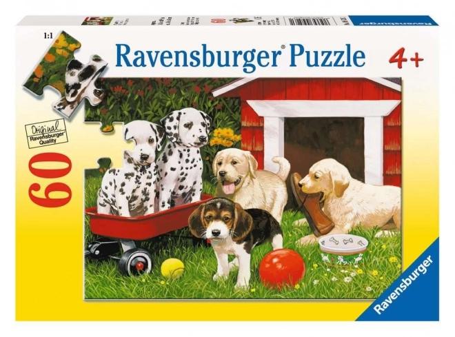 Puzzle Petrecere de cățeluși RAVENSBURGER 60 de piese